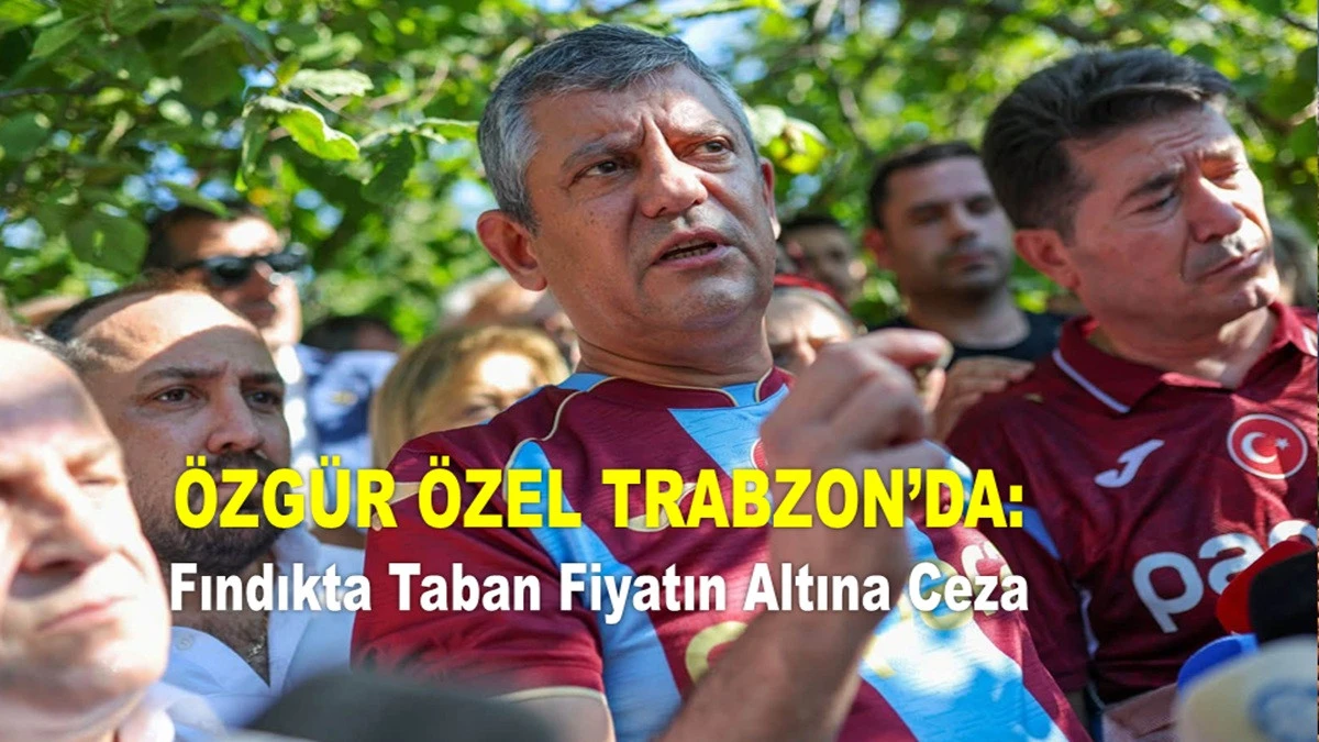 &Ouml;zel: &Uuml;retici Fındığını Toplamaya Korkar Hale Geldi