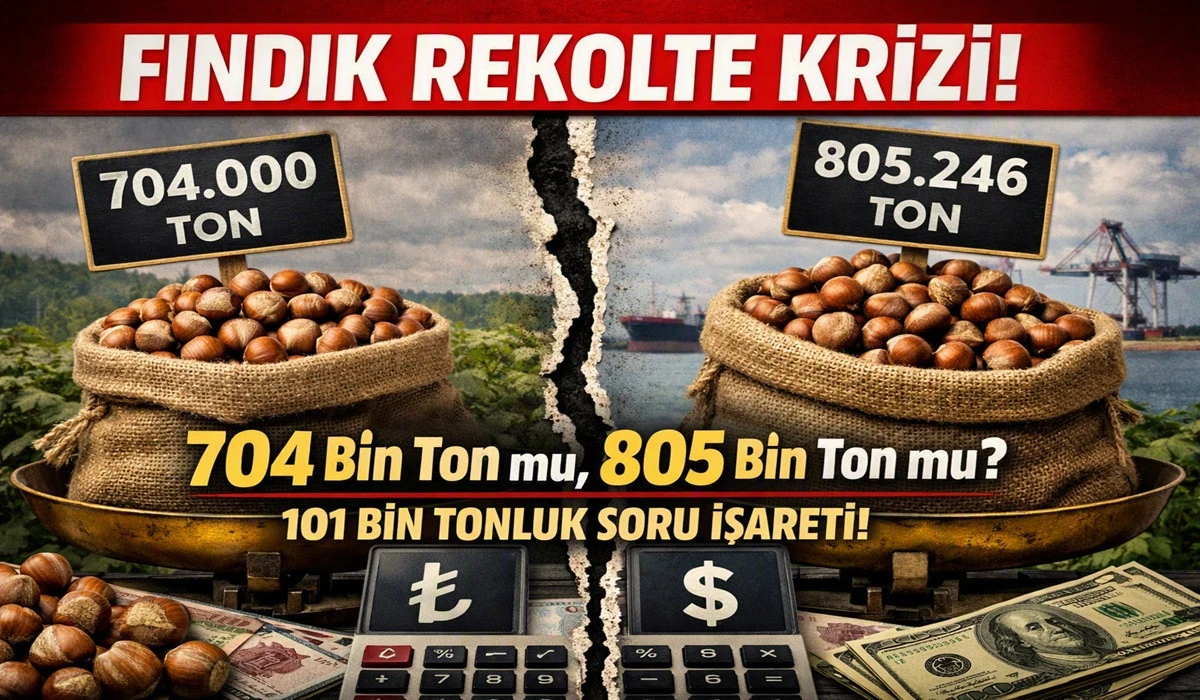Rekolte Savaşı Başladı: 704 Bin mi, 805 Bin mi?