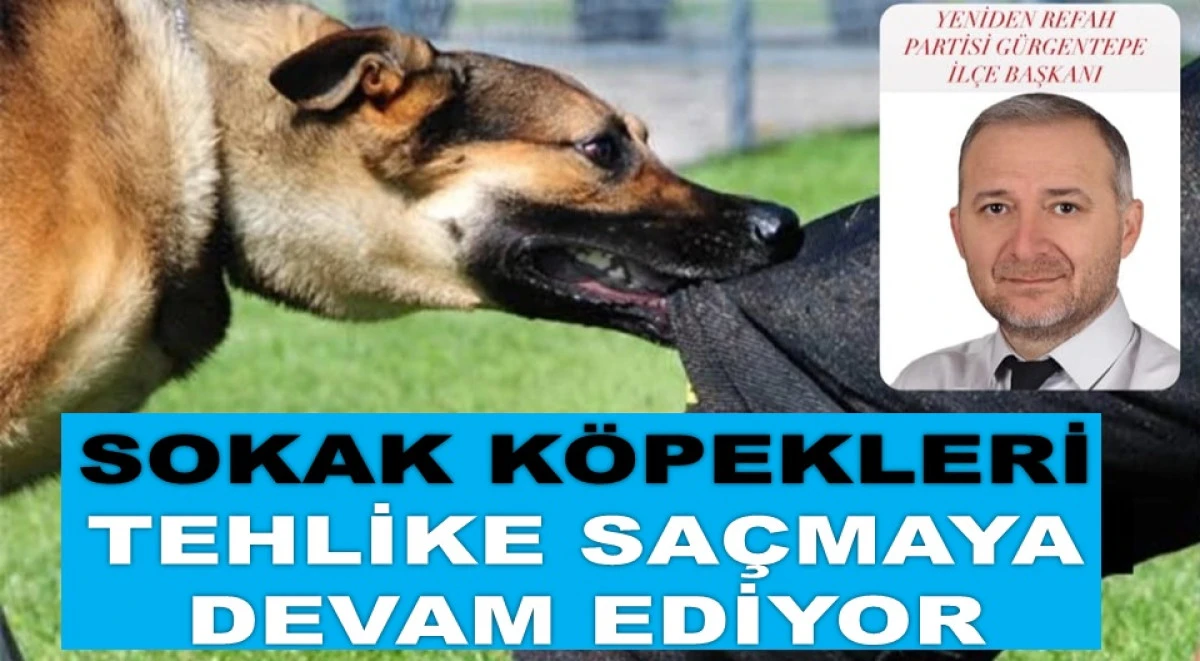 SAHİLDE YÜRÜYEN İLÇE BAŞKANINI KÖPEK ISIRDI