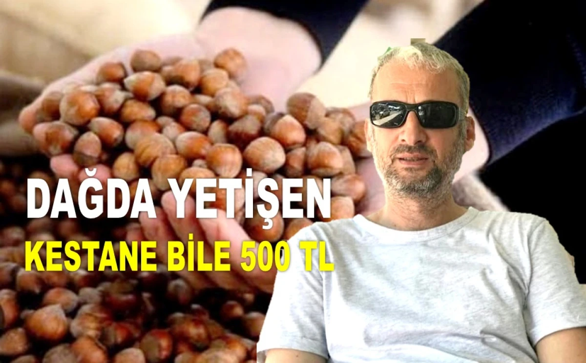 ŞENSOY'DAN BÖLÜK'E CEVAP: FINDIĞI YİYEN PARAYI VERECEK