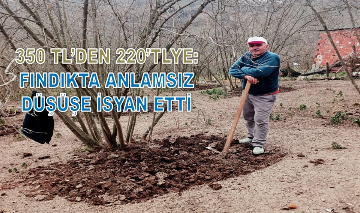 Sert &Ccedil;ıkış: G&uuml;bre 10 Bin TL Arttı, Fındık 130 TL D&uuml;şt&uuml;