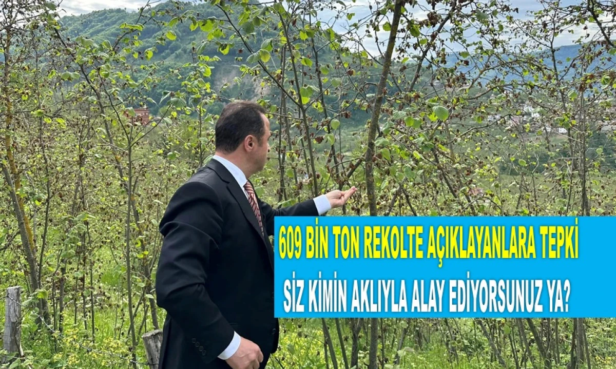 ŞOK TAHMİN: 400 BİN TON FINDIK OLMASI MÜMKÜN DEĞİL