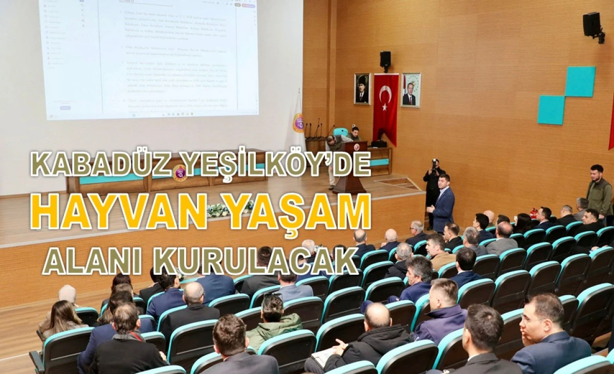 Sokak Hayvanları İ&ccedil;in Doğal Yaşam Alanları Hazırlanıyor