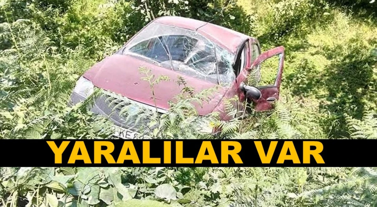 TAKLA ATAN OTOMOBİL FINDIK BAHÇESİNE UÇTU 