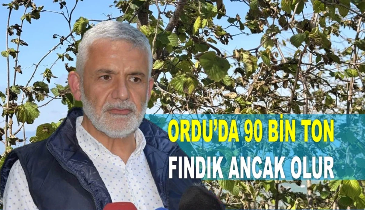 'TARSİM'DE REKOLTENİN 400 BİN TON OLMAYACAĞINI TEYİT ETTİ'