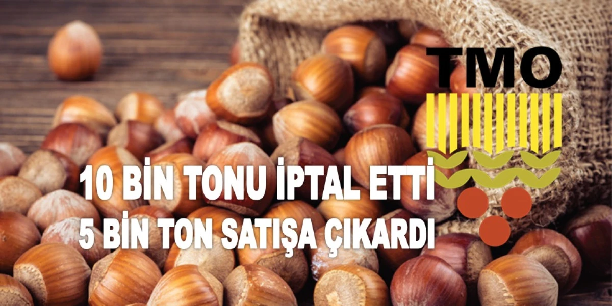 TMO 150 LİRADAN DEĞİL 160 LİRADAN FINDIK SATACAK