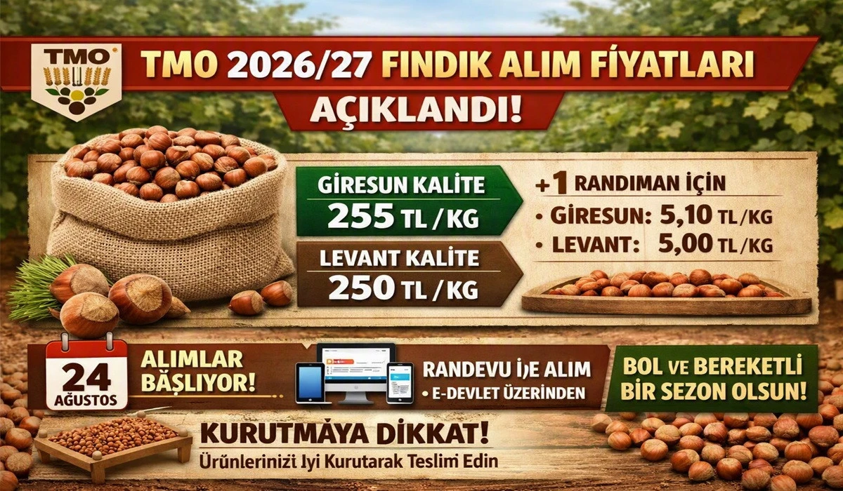 TMO Fındık Alım Fiyatlarını A&ccedil;ıkladı: 250 TL!