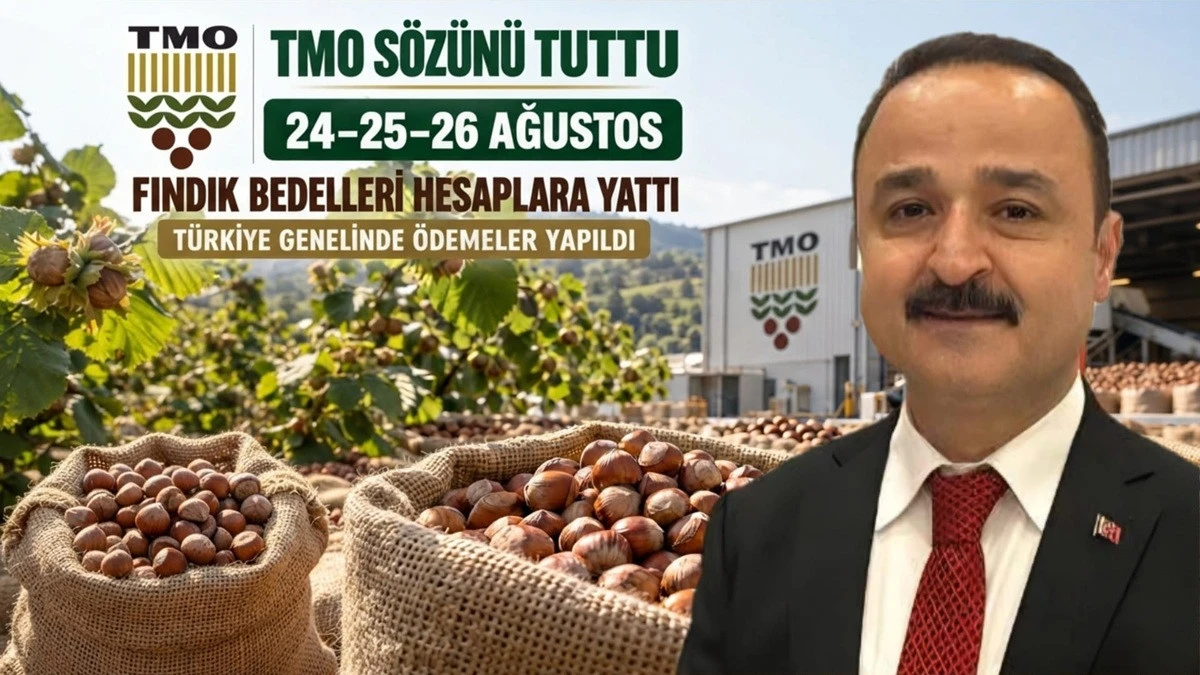 TMO Fındık &Uuml;reticilerine 239 Milyon TL &Ouml;dedi