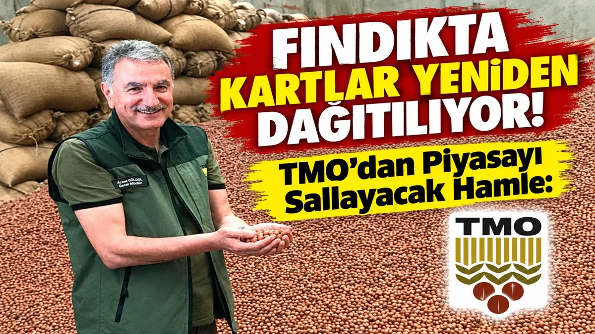TMO Stok Kartını A&ccedil;tı: En Az Bir Yıl Fındık Satmayacak
