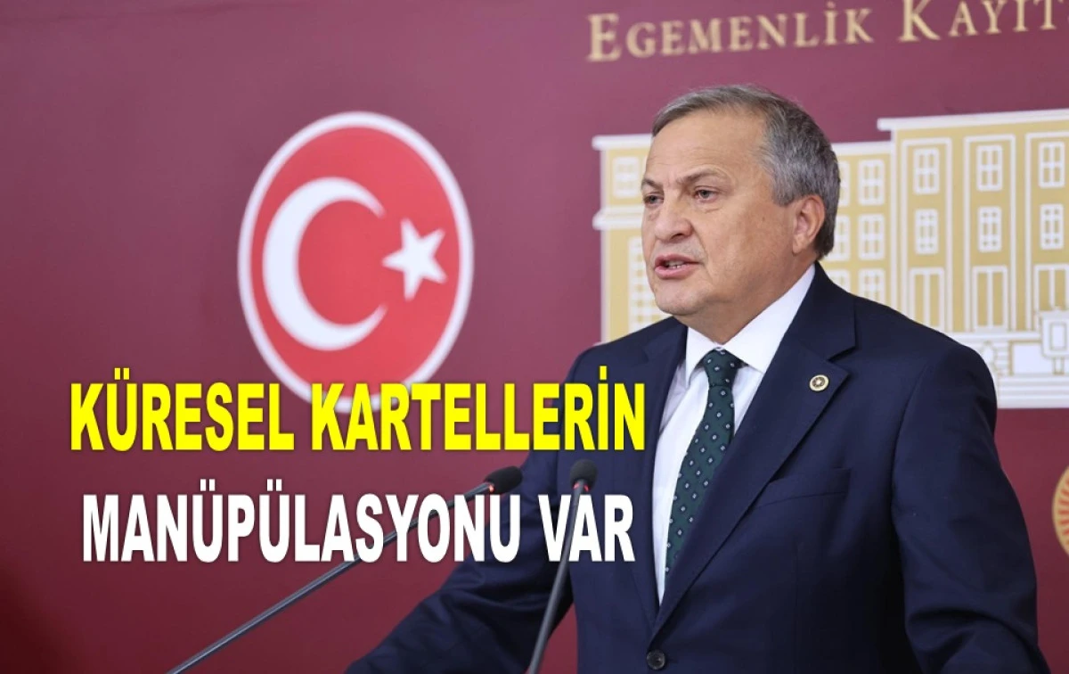 TORUN: KİME PEŞKEŞ ÇEKİYORSUNUZ BU FINDIĞI?