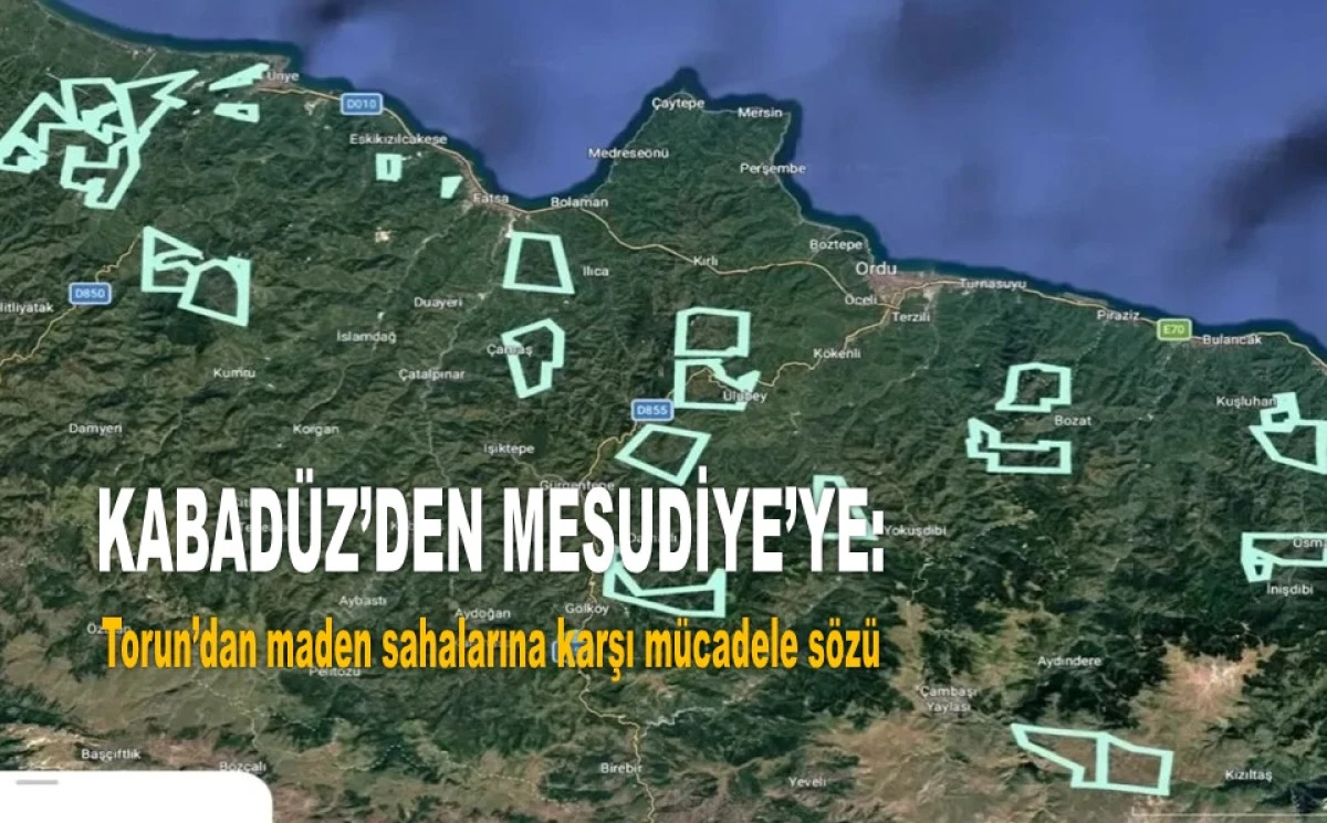 Torun: Ordu'muzun Maden Değil, Fındık Bahçesi Değerli