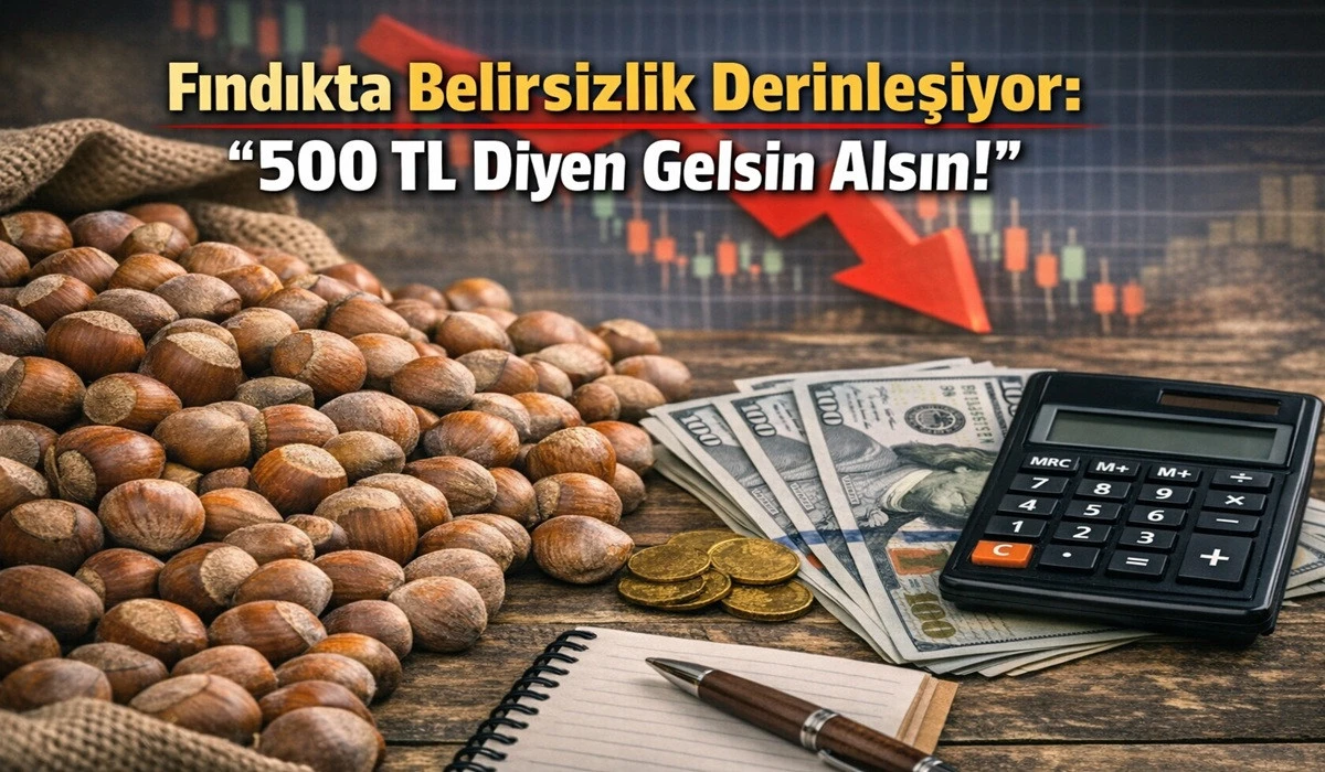 T&uuml;ccardan Tepki: Fındığı 500 TL&rsquo;den Ziraat Odaları Alsın!