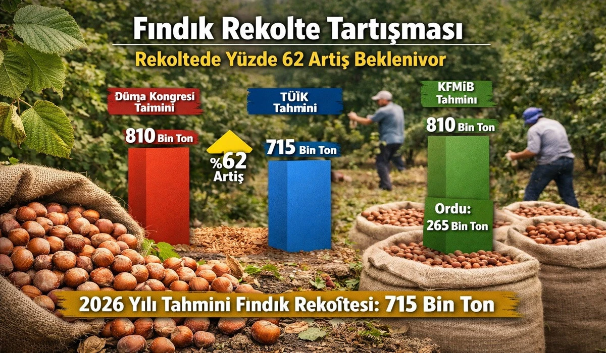 T&Uuml;İK&rsquo;ten Resmi Tahmin: 715 Bin Ton Fındık!