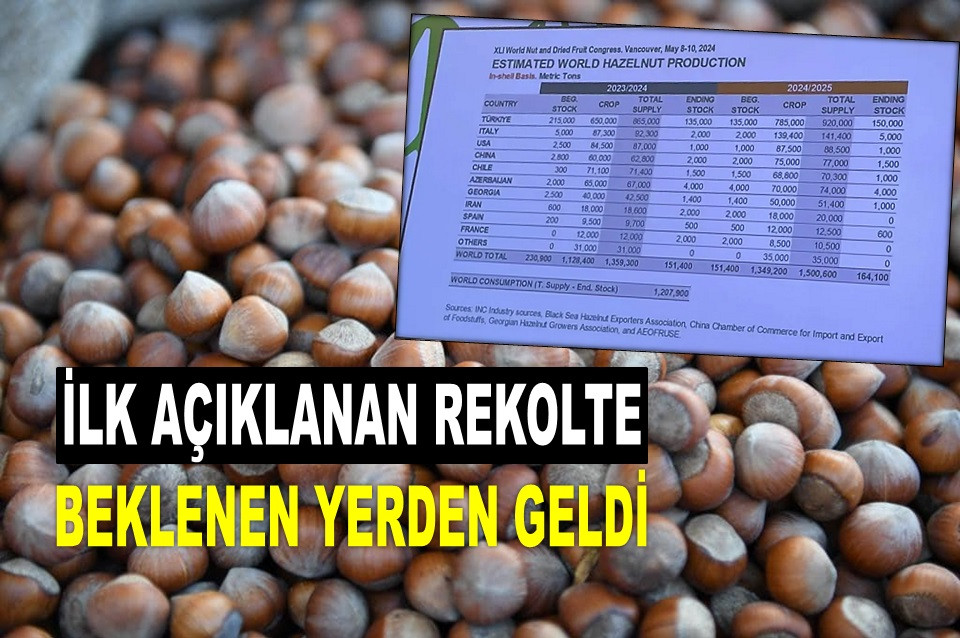 TÜRKİYE'DE 785 BİN TON FINDIK REKOLTESİ AÇIKLANDI