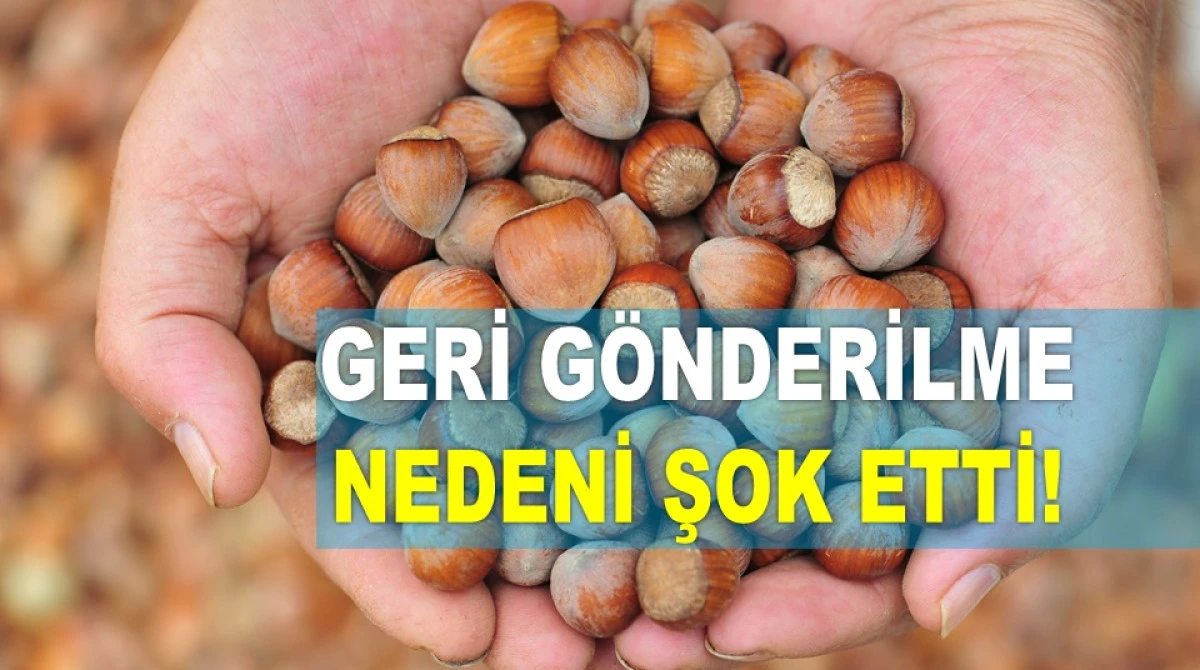 TÜRKİYE'DEN GÖNDERİLEN FINDIĞI GERİ GÖNDERDİLER