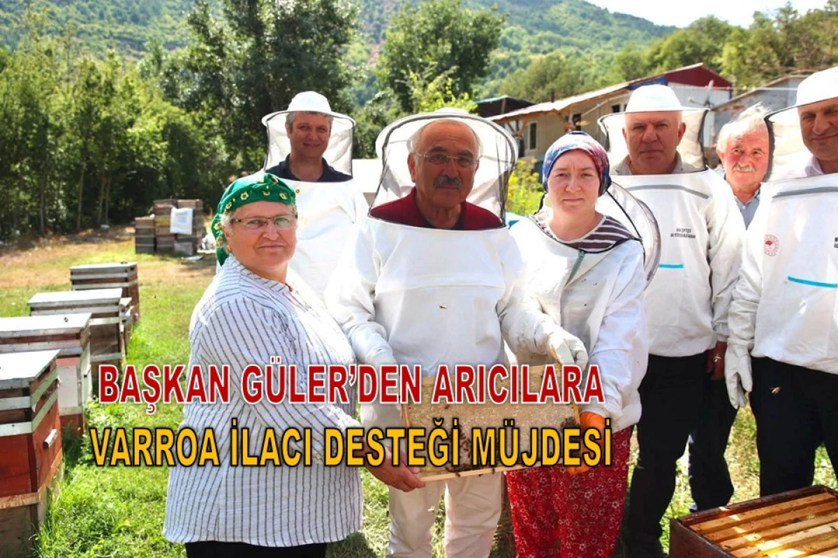 T&uuml;rkiye&rsquo;nin Bal Başkenti Ordu&rsquo;da Arıcılara M&uuml;jde