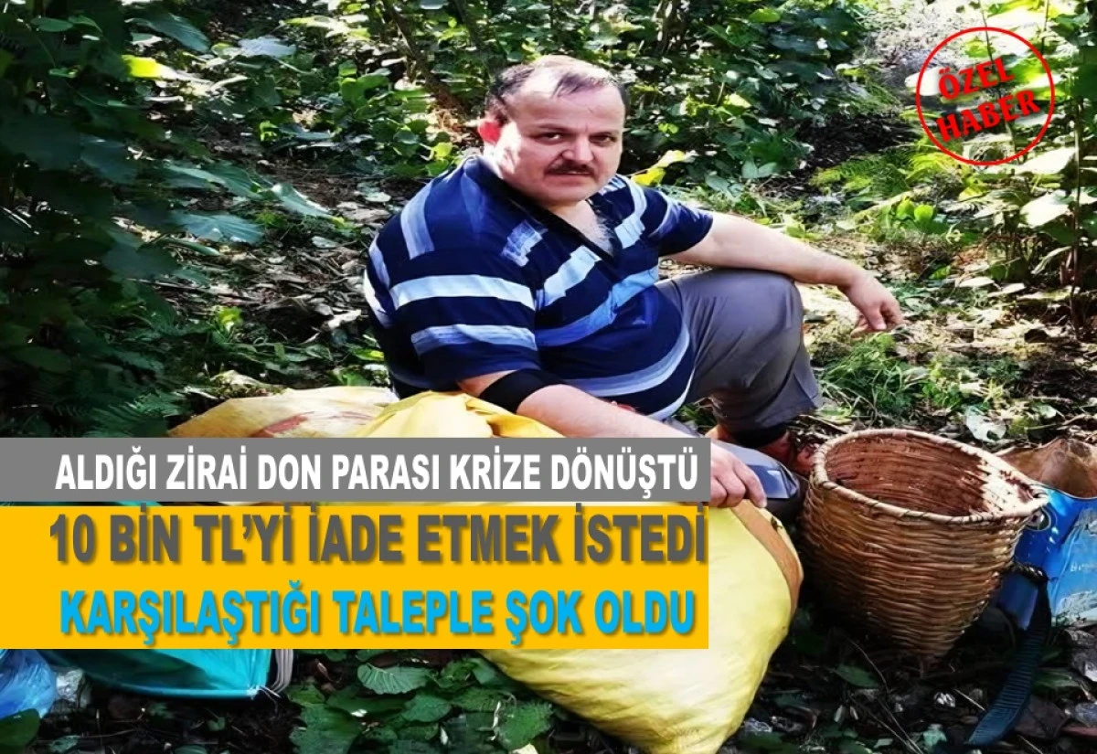 Ulubey&rsquo;de Fındık &Uuml;reticisine &Ccedil;ifte &Ouml;deme Krizi