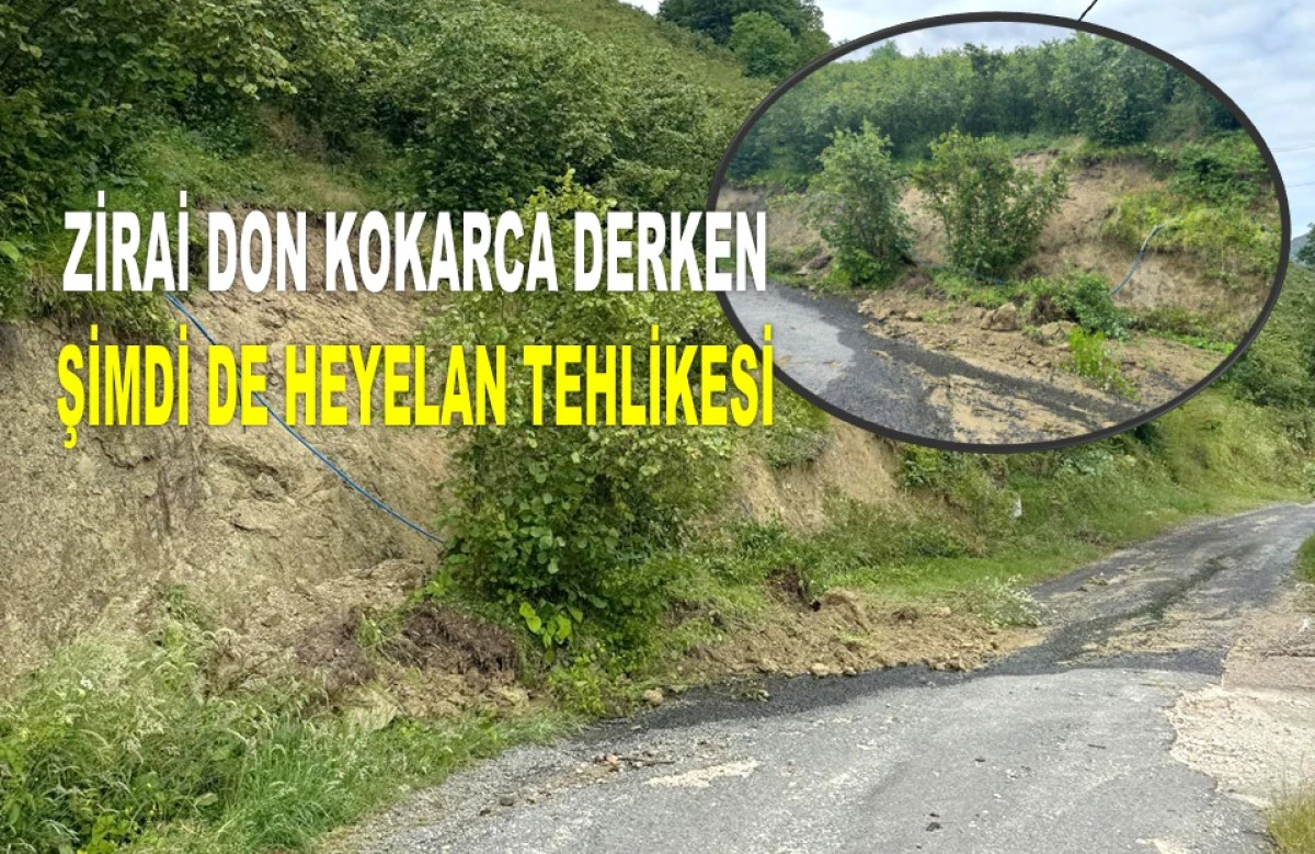 ULUBEY'DEKİ HEYELANDA FINDIK OCAKLARI YOLA İNDİ