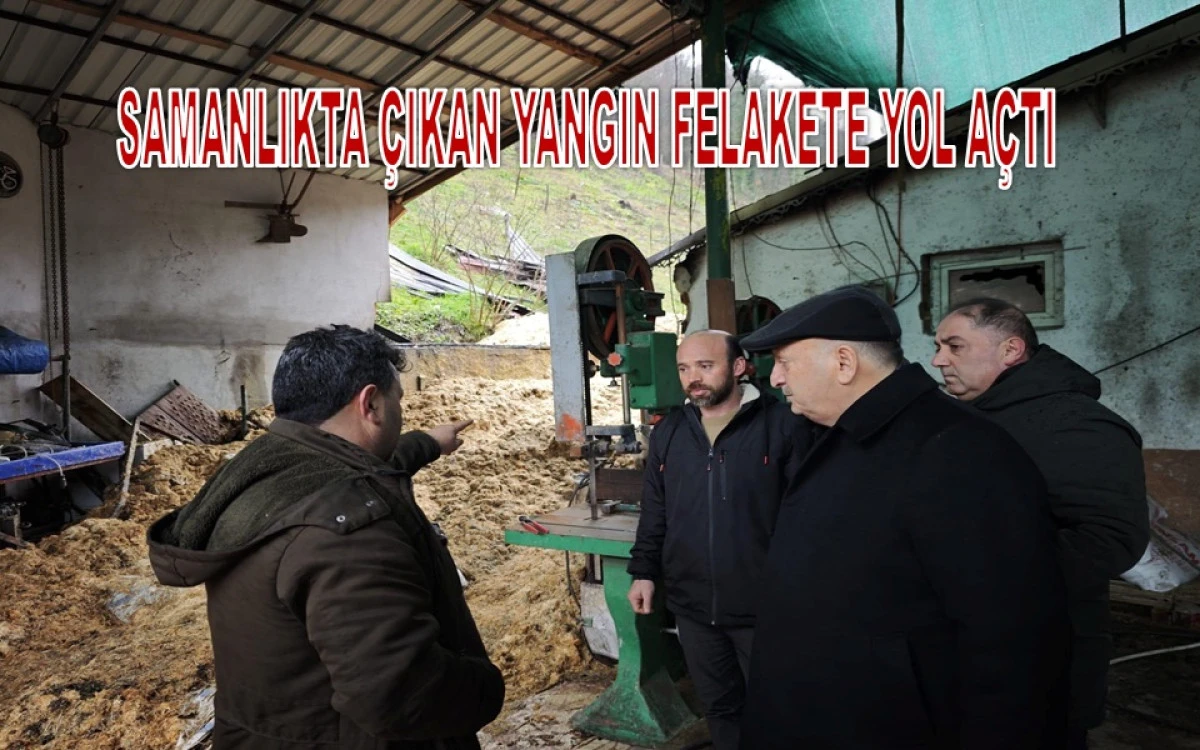 &Uuml;nye&rsquo;de Ahır Yangını: 25 B&uuml;y&uuml;kbaş Hayvan Telef Oldu