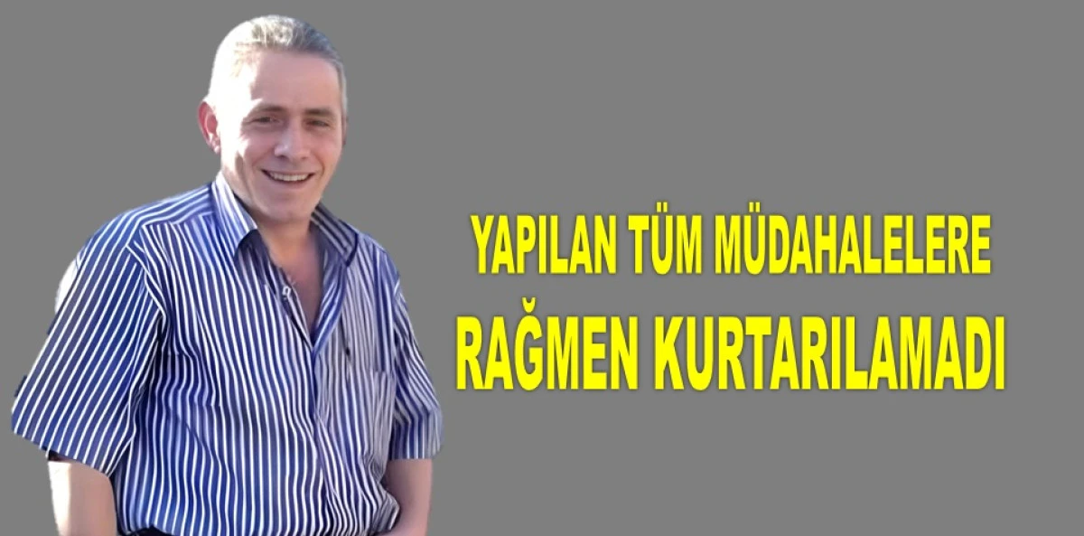 &Uuml;NYE'DE &Ccedil;IKTIĞI AĞA&Ccedil;TAN D&Uuml;Ş&Uuml;P HAYATINI KAYBETTİ