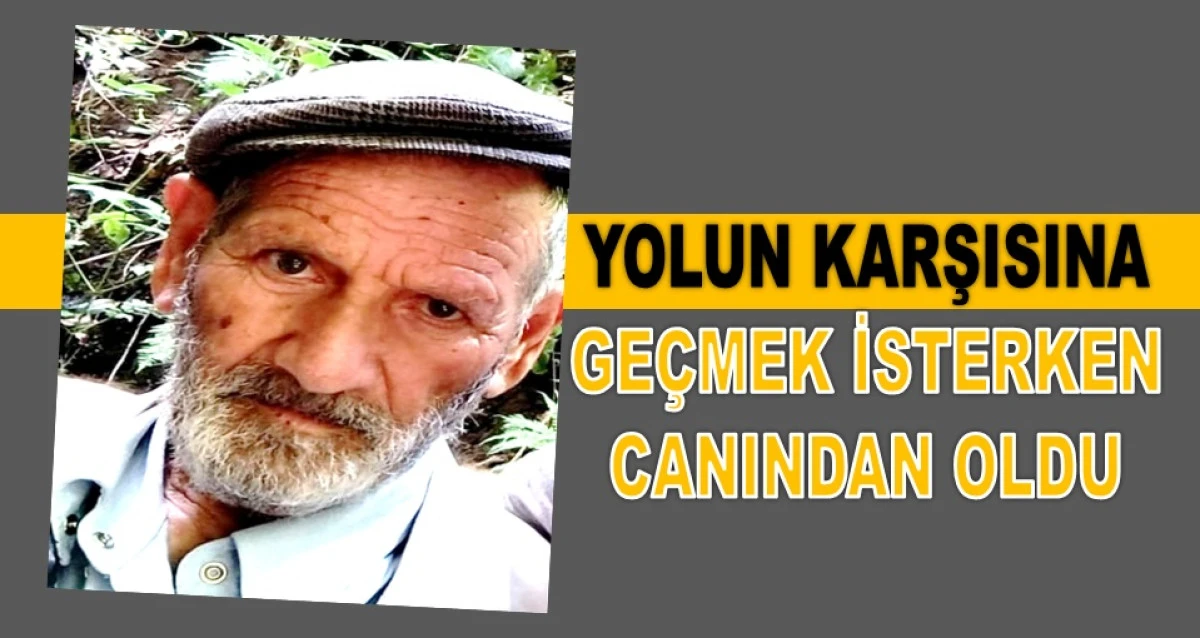 &Uuml;nye'de Otomobilin &Ccedil;arptığı Yaşlı Adam Hayatını Kaybetti