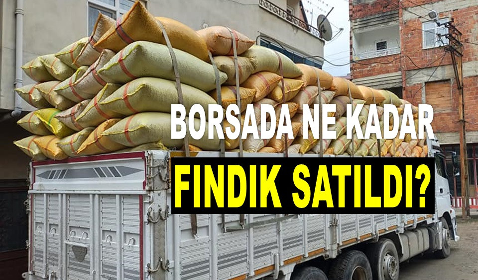 ÜRETİCİNİN 8 AYDA SATTIĞI FINDIK MİKTARI ŞAŞIRTTI