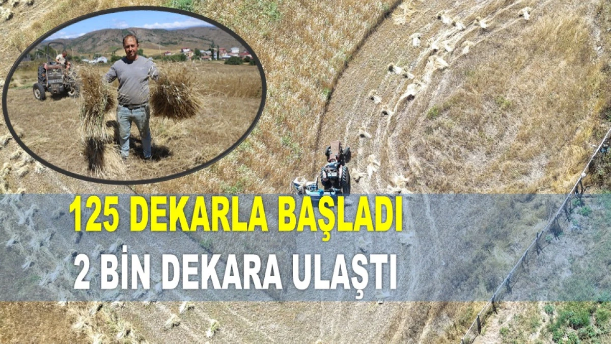 ÜRETİMİ YÜZDE 1500 ARTTI