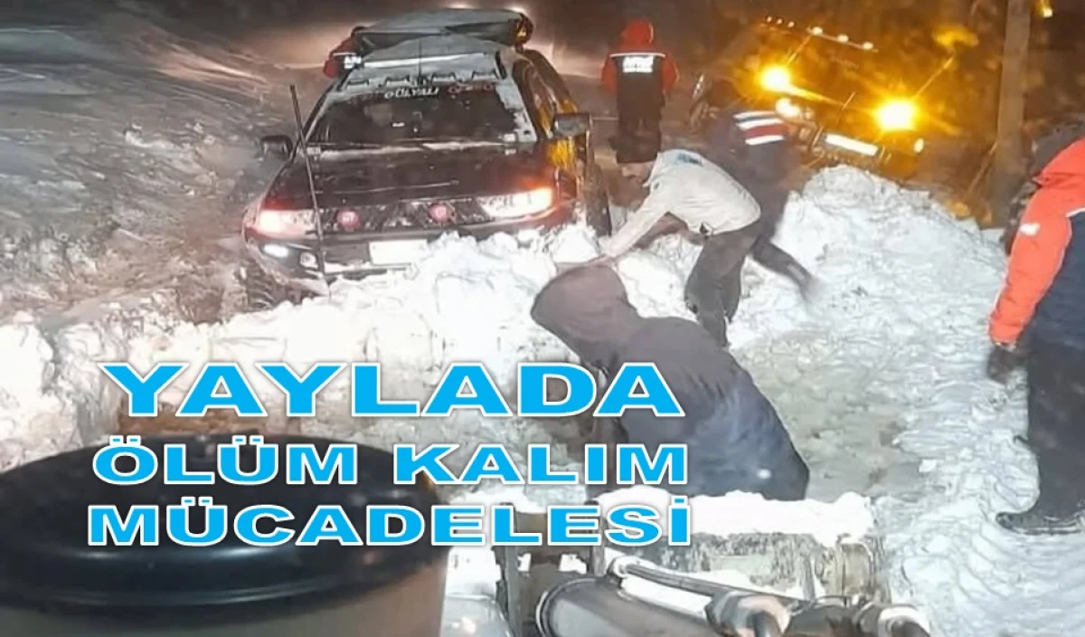 Yaylada Mahsur Kalan 20 Kişi Son Anda Kurtarıldı