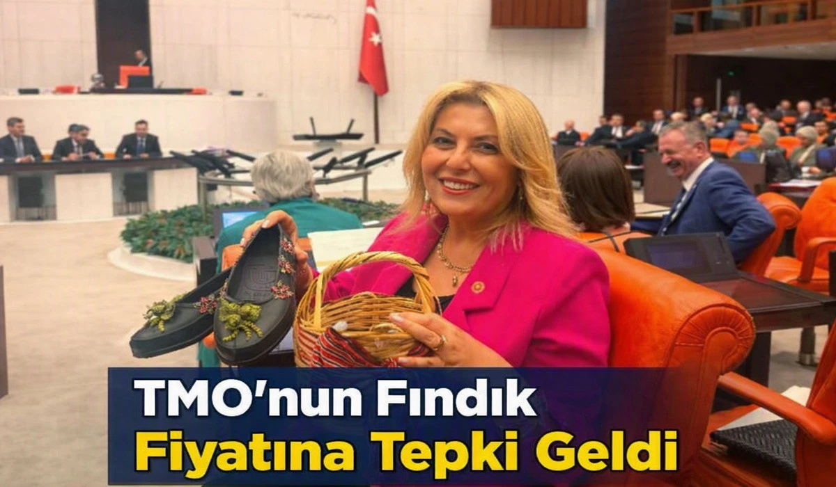 Yeni Partili Vekil'den Tepki: Maliyet 300, Fiyat 250 TL