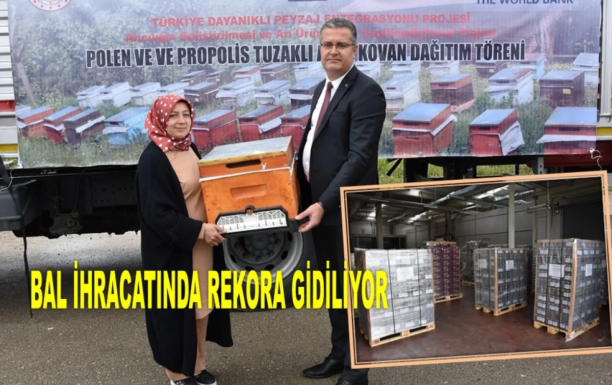 YILIN İLK 4 AYINDA ORDU 283 TON BAL İHRAÇ ETTİ