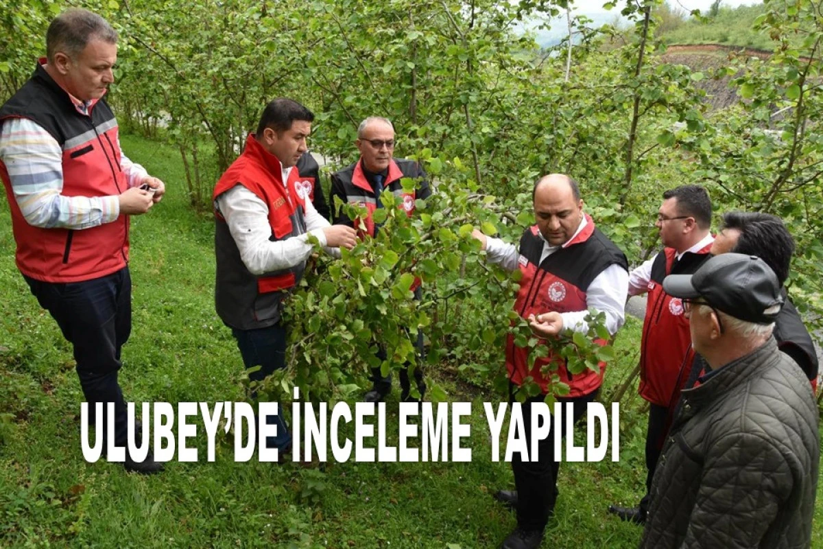 YÜKSEKLİK ARTTIKÇA ZARARIN ŞİDDETİ DAHA DA ARTIYOR