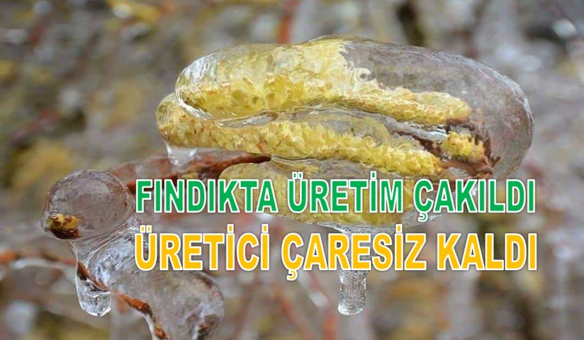 Y&Uuml;ZDE 38'LİK KAYIP KARADENİZ'E B&Uuml;Y&Uuml;K DARBE VURDU